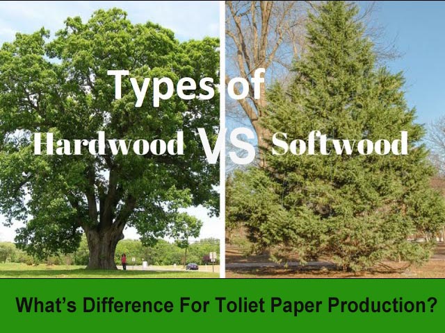 types of hardwood trees